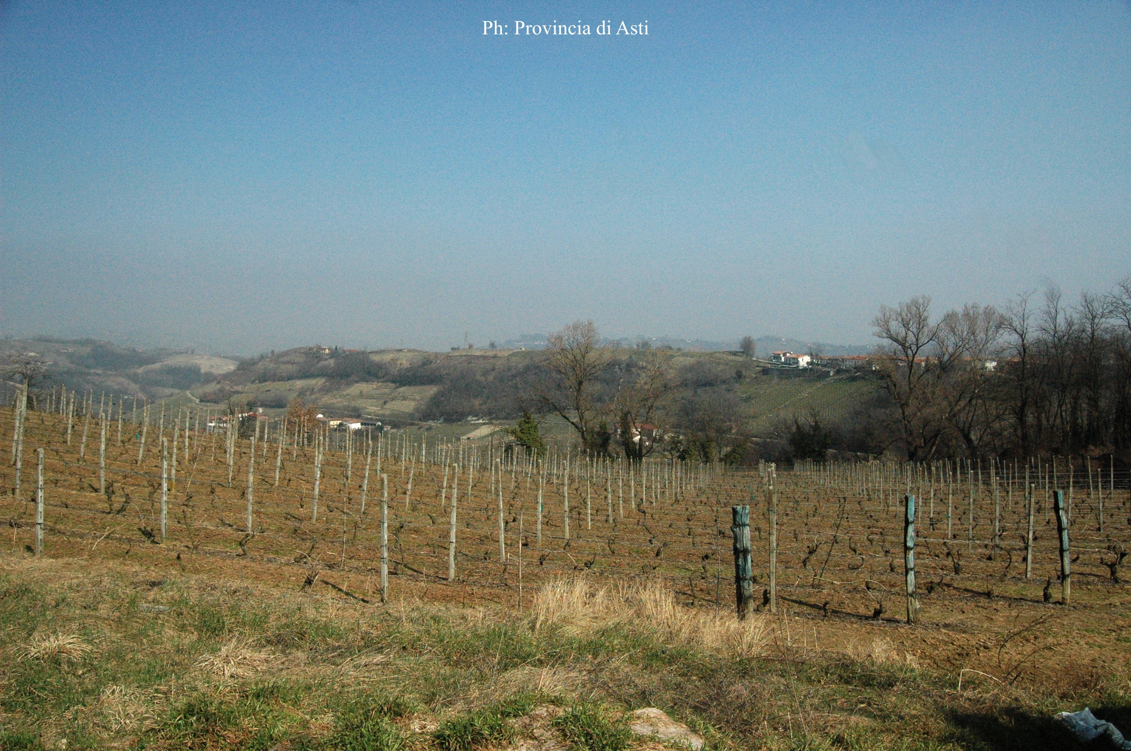 Paesaggio di Cassinasco (4)