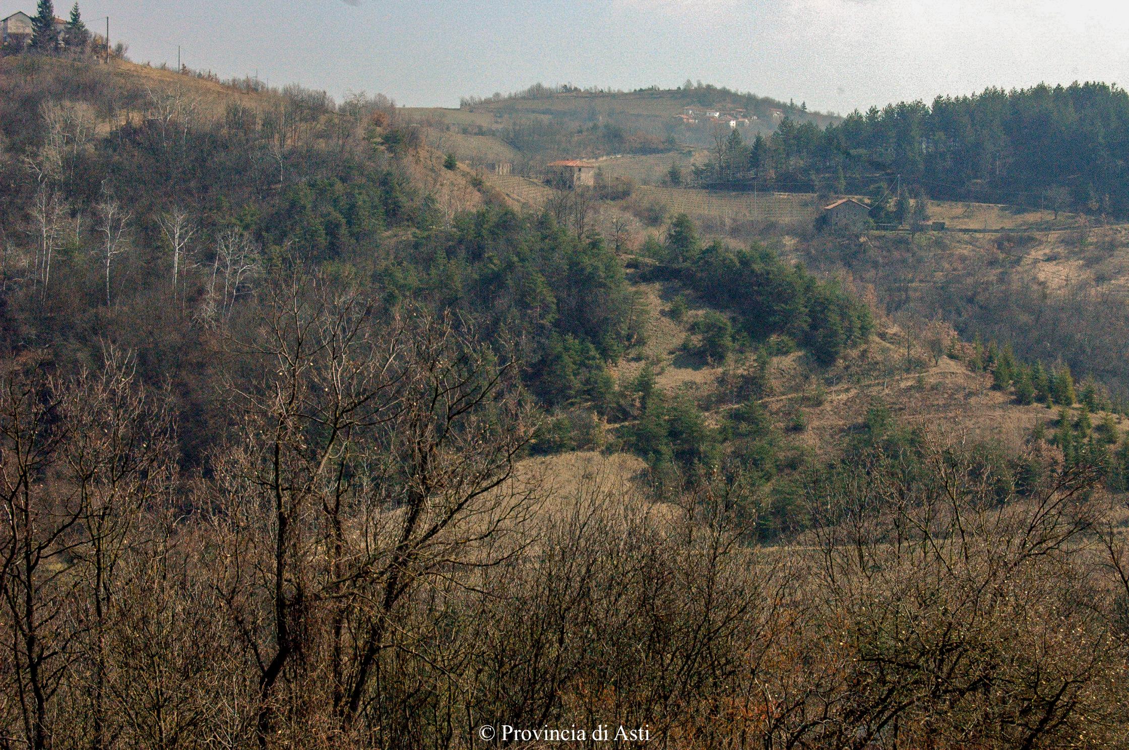 Paesaggio di Cassinasco (8)