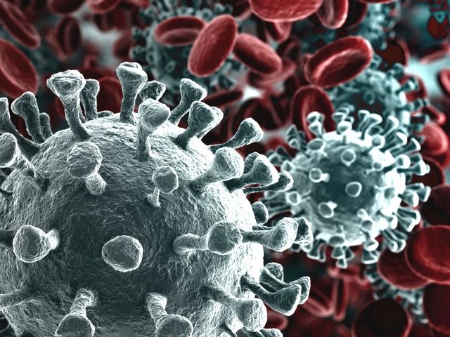 Coronavirus: avviso per l'assegnazione del bonus alimentare